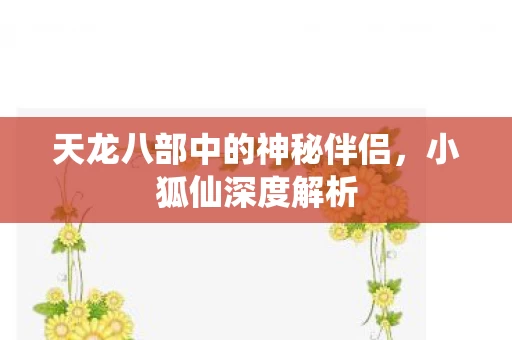 天龙八部中的神秘伴侣图片