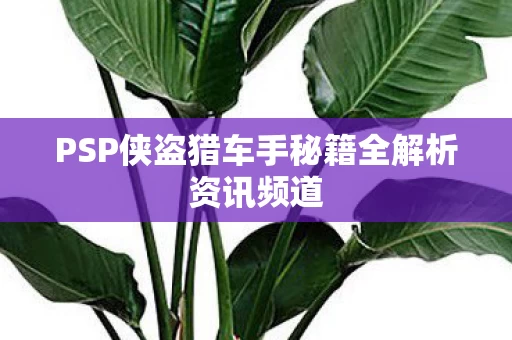 PSP侠盗猎车手秘籍全解析资讯频道图片