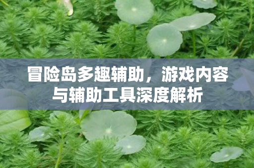 游戏内容与辅助工具深度解析图片