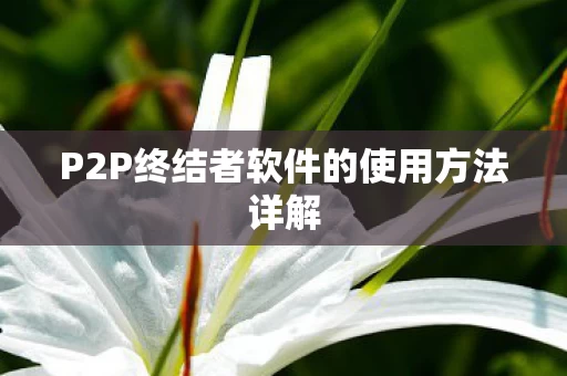 P2P终结者软件的使用方法详解图片