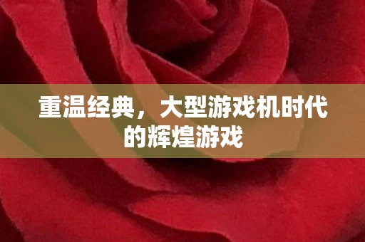 大型游戏机时代的辉煌游戏图片