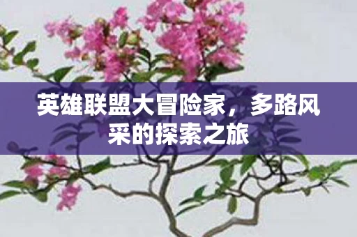 多路风采的探索之旅图片