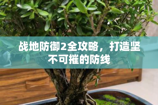 打造坚不可摧的防线图片