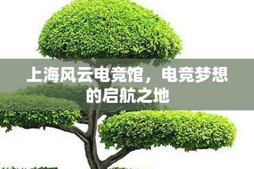 电竞梦想的启航之地图片