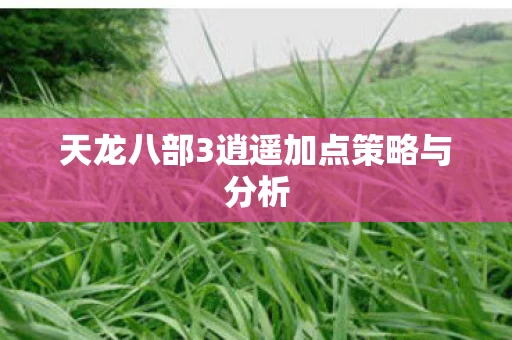天龙八部3逍遥加点策略与分析图片
