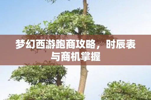 梦幻西游跑商攻略图片