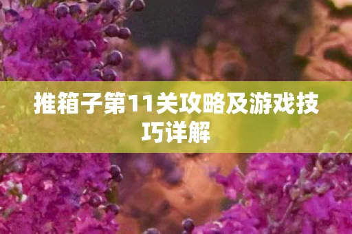 推箱子第11关攻略及游戏技巧详解图片