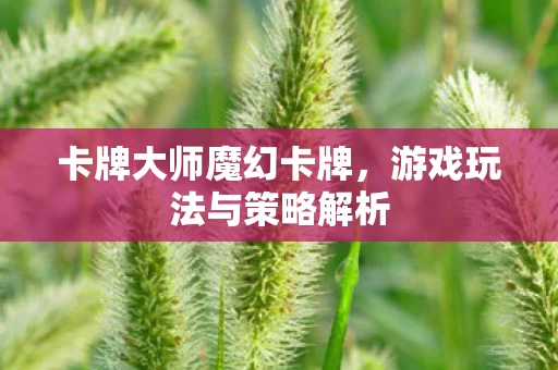 游戏玩法与策略解析图片