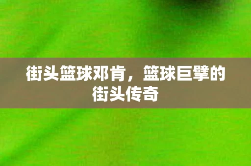 篮球巨擘的街头传奇图片