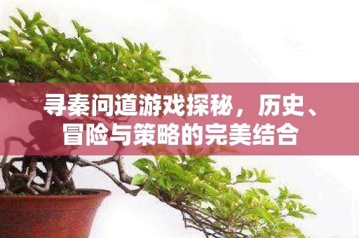 冒险与策略的完美结合图片