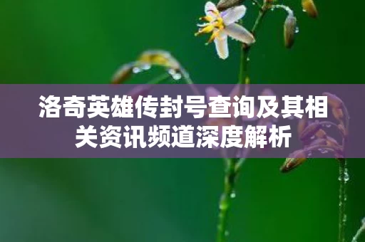 洛奇英雄传封号查询及其相关资讯频道深度解析图片