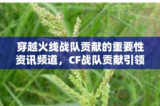 穿越火线战队贡献的重要性资讯频道图片