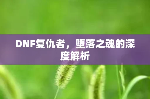 堕落之魂的深度解析图片