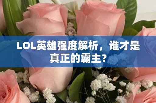 LOL英雄强度解析图片