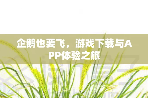 游戏下载与APP体验之旅图片