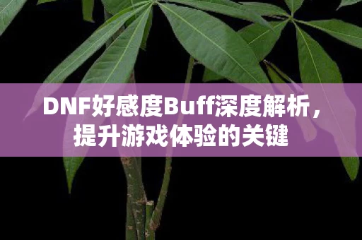 DNF好感度Buff深度解析图片