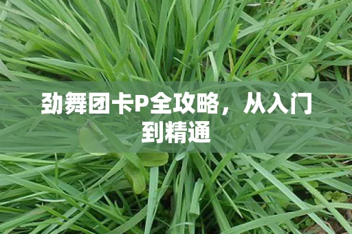 劲舞团卡P全攻略图片