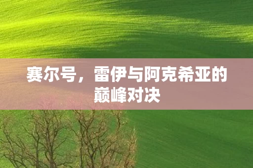 雷伊与阿克希亚的巅峰对决图片