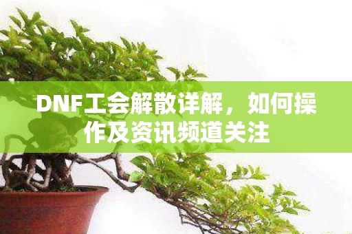 如何操作及资讯频道关注图片