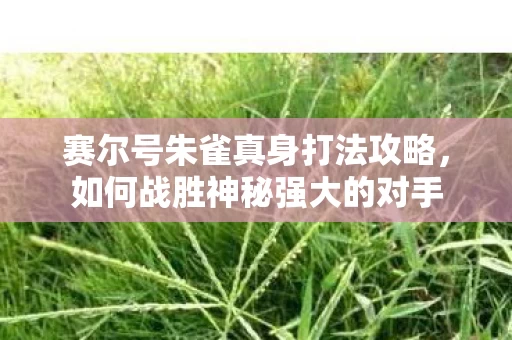 赛尔号朱雀真身打法攻略图片