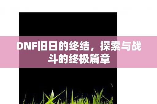 探索与战斗的终极篇章图片