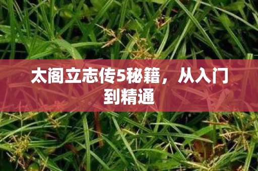 太阁立志传5秘籍图片