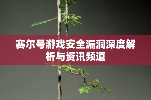 赛尔号游戏安全漏洞深度解析与资讯频道图片