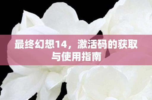 激活码的获取与使用指南图片