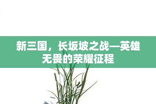 英雄无畏的荣耀征程图片