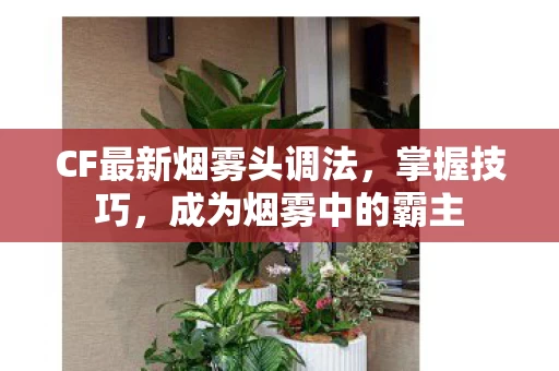 CF最新烟雾头调法图片