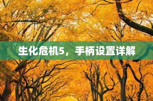 手柄设置详解图片