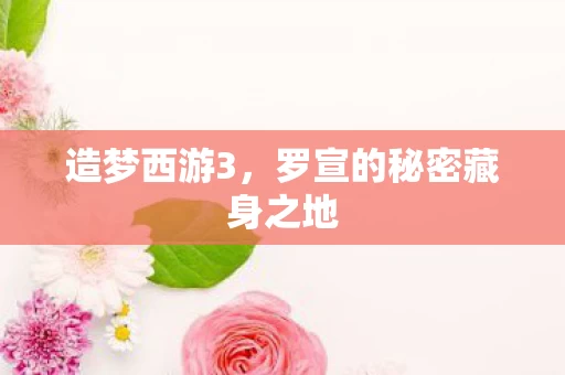 罗宣的秘密藏身之地图片