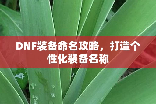 DNF装备命名攻略图片
