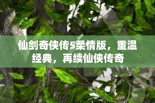 仙剑奇侠传5柔情版图片