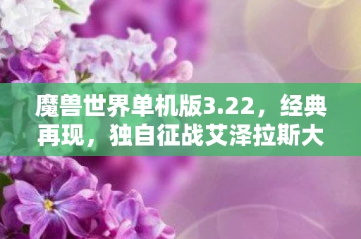 独自征战艾泽拉斯大陆图片