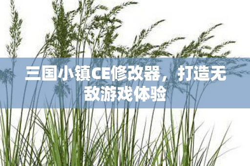 三国小镇CE修改器图片