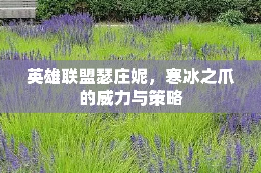寒冰之爪的威力与策略图片