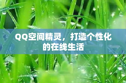 打造个性化的在线生活图片