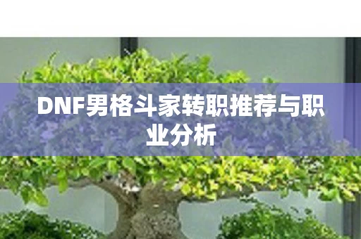 DNF男格斗家转职推荐与职业分析图片