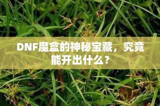 DNF魔盒的神秘宝藏图片