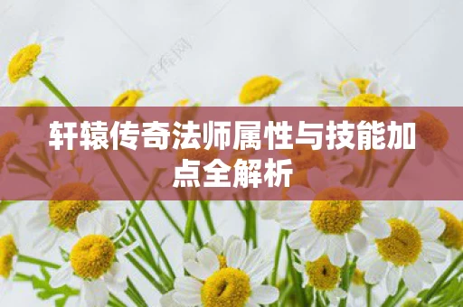 轩辕传奇法师属性与技能加点全解析图片