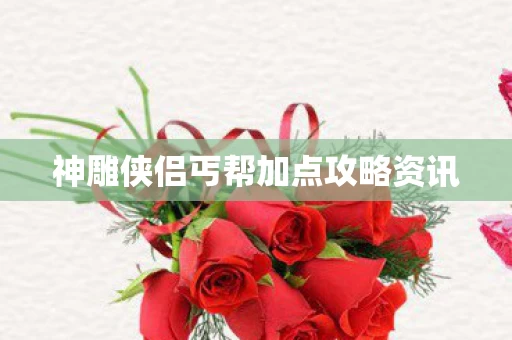 神雕侠侣丐帮加点攻略资讯图片