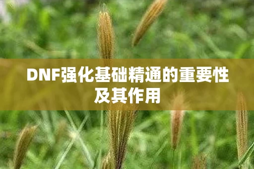 DNF强化基础精通的重要性及其作用图片