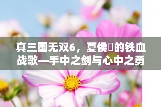 手中之剑与心中之勇图片
