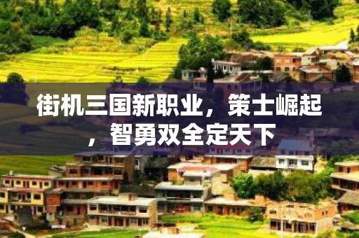 街机三国新职业图片
