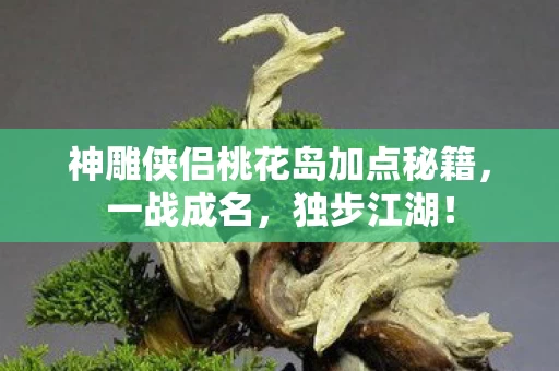 神雕侠侣桃花岛加点秘籍图片