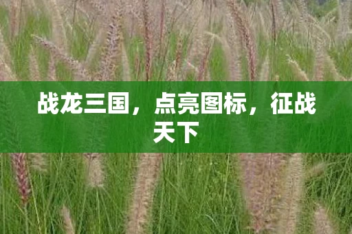 战龙三国图片