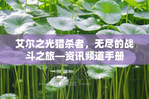 艾尔之光猎杀者图片
