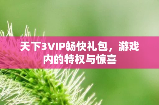 天下3VIP畅快礼包图片
