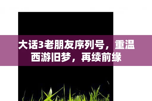 大话3老朋友序列号图片